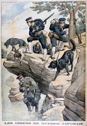 Japanische Soldaten mit Hunden finden einen versteckten Russen, Russisch-Japanischer Krieg, 1904