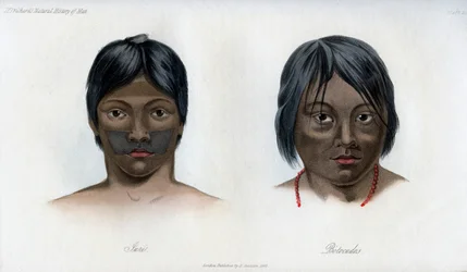 Juri und Botocudos, der Brasilio-Guarani-Nation, 1848