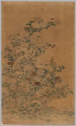 Ko Ssu Panel: Felsen und Chrysanthemen, 1700er - 1800er