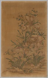 Ko Ssu Panel: Felsen und Narzissen, 1700er - 1800er