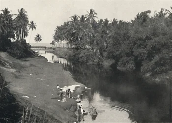 Landschaft am Fluss bei Dehiwala, zwischen Colombo und Mount Lavinia, 1926