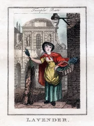 Lavendel, Temple Bar, London, 1805