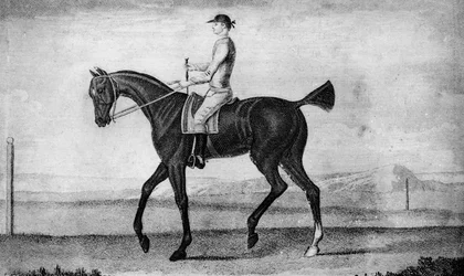 Kleiner Fahrer, um 1850-1900, 1911