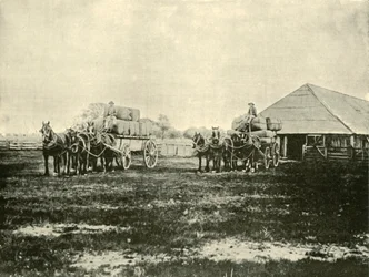 Wolle verladen, Warrawooh Station, Wimmera, 1901