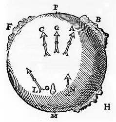Magnetismus, 1600