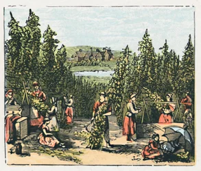 Maidstone, um 1910