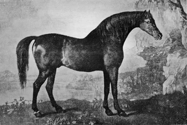 Marske, 1750-1779, 1911
