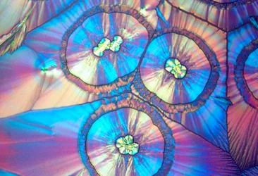 Mikrographien (Licht) Ascorbinsäure, Lichtmikrographie