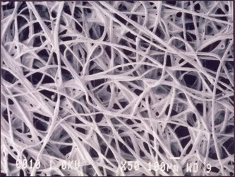 Mikrographien (Licht) Chemotextilgewebe, Lichtmikrographie