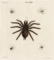 Mikroskopie