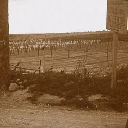Militärfriedhof, Neuville-Saint-Vaast, Nordfrankreich, ca. 1914-1918