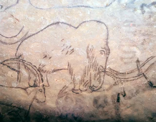 Neolithische Höhlenmalerei von Mammut und Steinböcken