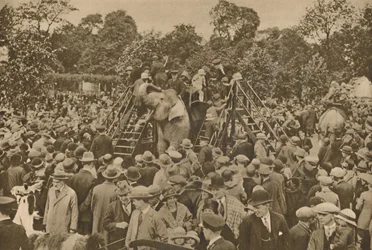 Eines der Zeichen unserer Zivilisation: Gut bestückte zoologische Gärten zur Freude der Neugierigen, ca. 193