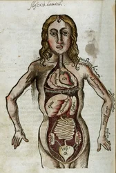 Mann mit freigelegten inneren Organen