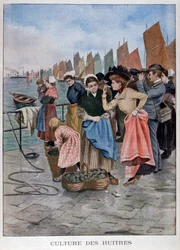 Austernverkäufer, 1902