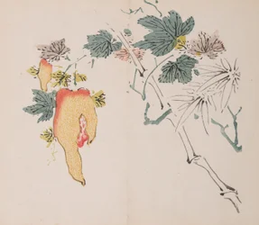 Seite aus Shi Zhu Zhai