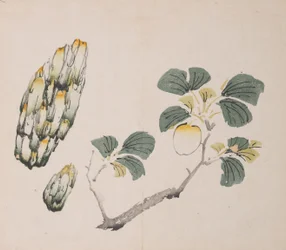 Seite aus Shi Zhu Zhai