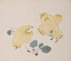 Seite aus Shi Zhu Zhai