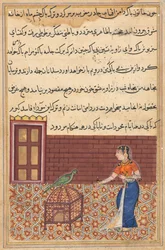 Seite aus Geschichten eines Papageis Tuti-nama: Einundfünfzigste Nacht: Der Papagei spricht Khujasta an..., ca. 156