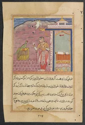 Seite aus Geschichten eines Papageis Tuti-nama: Vierundvierzigste Nacht: Der Papagei spricht..., ca. 1560
