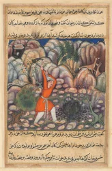 Seite aus Geschichten eines Papageis Tuti-nama: Siebenundvierzigste Nacht: Der vierte Mann gräbt..., ca. 1560