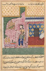 Seite aus Geschichten eines Papageis Tuti-nama: Siebzehnte Nacht: Der Papagei..., ca. 1560