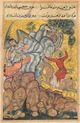 Seite aus Geschichten eines Papageis Tuti-nama: Vierunddreißigste Nacht: Der dritte Freier..., ca. 1560