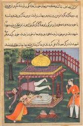 Seite aus Geschichten eines Papageis, Tuti-nama: Sechsunddreißigste Nacht: Mahrusa tötet sich selbst..., ca. 1560
