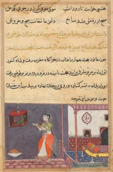 Seite aus Geschichten eines Papageis Tuti-nama: Fünfundzwanzigste Nacht: Der Papagei spricht zu Khujasta..., ca. 1560