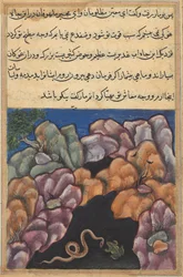 Seite aus den Geschichten eines Papageis Tuti-nama: Sechsundzwanzigste Nacht: Die Schlange tritt ein..., um 1560