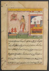 Seite aus Geschichten eines Papageis Tuti-nama: Dreiundzwanzigste Nacht: Der Papagei spricht..., ca. 1560