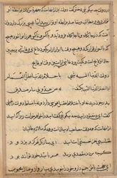 Seite aus Geschichten eines Papageis Tuti-nama: Textseite, ca. 1560