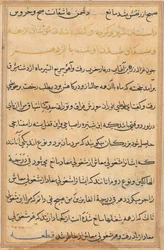 Seite aus Geschichten eines Papageis Tuti-nama: Textseite, ca. 1560