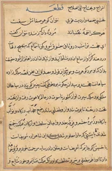 Seite aus den Geschichten eines Papageis Tuti-nama: Textseite, ca. 1560