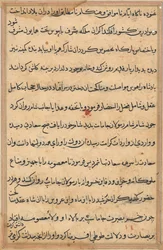 Seite aus Geschichten eines Papageis Tuti-nama: Textseite, ca. 1560
