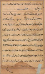 Seite aus Geschichten eines Papageis Tuti-nama: Textseite, ca. 1560