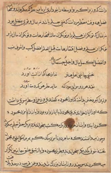 Seite aus Geschichten eines Papageis Tuti-nama: Textseite, ca. 1560