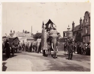 Parade der Elefanten, um 1905