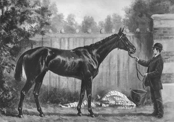 Paradox, 1882-1890, 1911