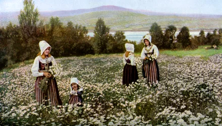 Blumenpflücken auf einer Wiese bei Leksand, Schweden, ca. 1923
