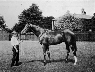 Polarstern, 1911