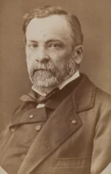 Porträt von Louis Pasteur 1822-1895, ca. 1870