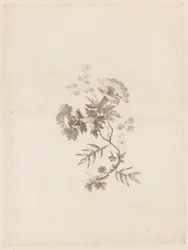 Druck (Frankreich)