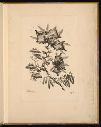 Druck (Frankreich)