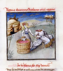 Königin Tomyris. Aus: Speculum Humanae Salvationis Spiegel der menschlichen Erlösung von Ludolph von Sachsen