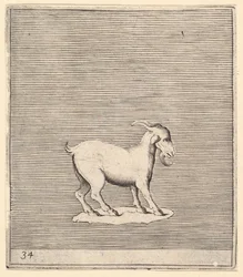 Widder, veröffentlicht ca. 1599-1622