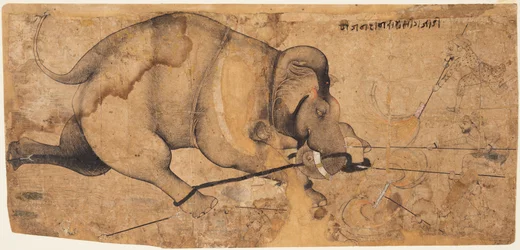 Der Elefant von Rao Ram Singh ist durchgedreht, ca. 1700