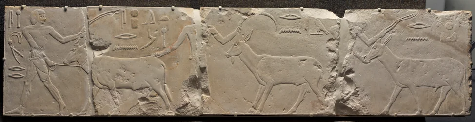 Relief von Männern, die Wüstentiere bringen, ca. 2311-2281 v. Chr.