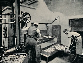 Kekse aus dem Ofen nehmen, ca. 1917