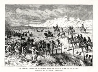 Rodeo, Südamerika, 1877